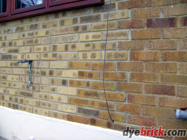 Brick Tinting starting.JPG